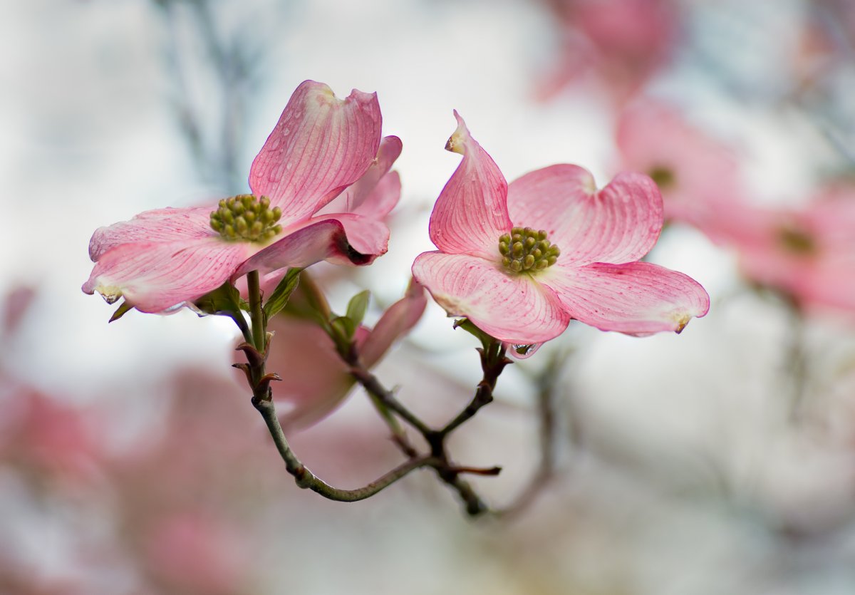 _28A0080-5-Edit.jpg