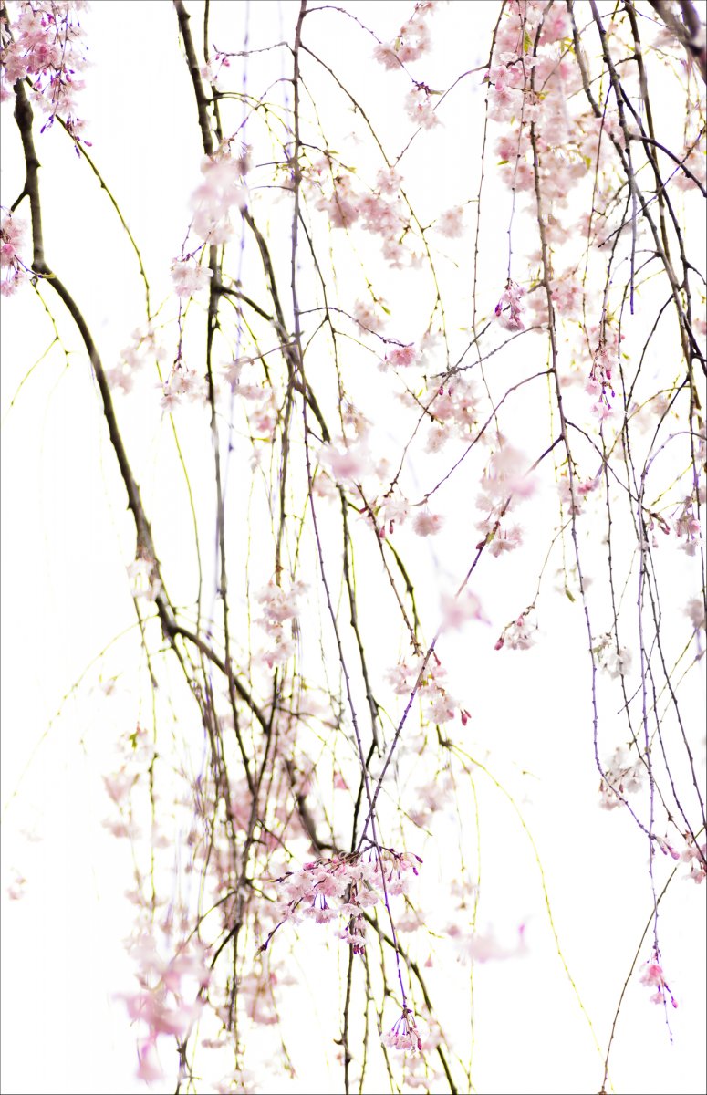 _28A0108-3-Edit-Edit.jpg