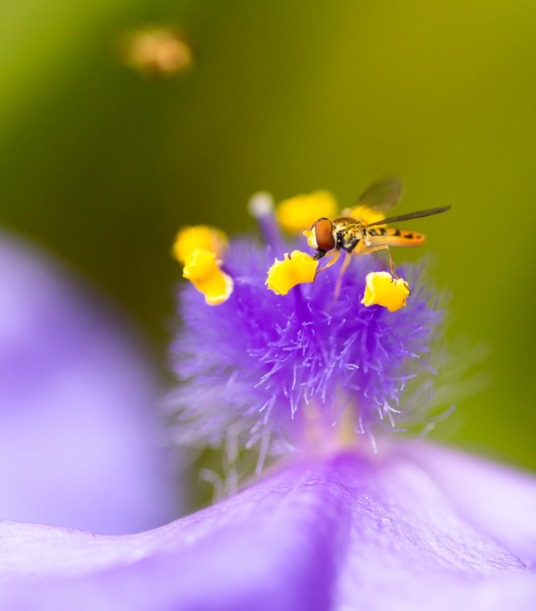 _28A0160-3-Edit.jpg