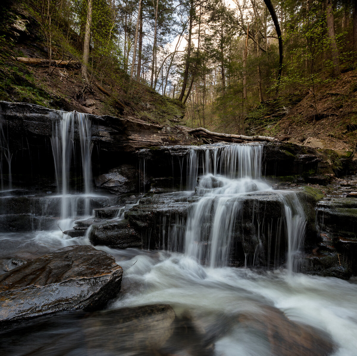_28A0162-Pano-Edit.jpg