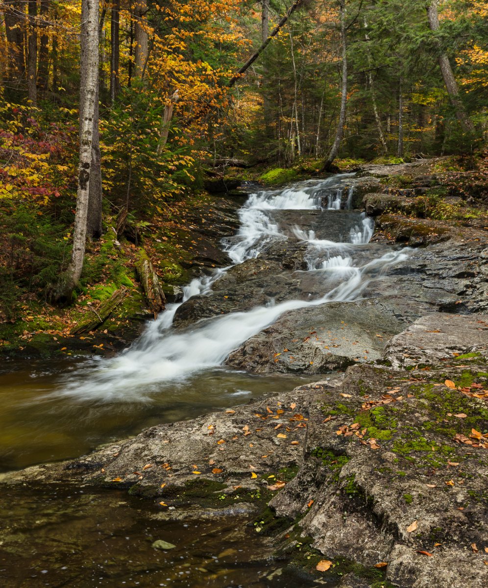 _28A0193-Edit.jpg