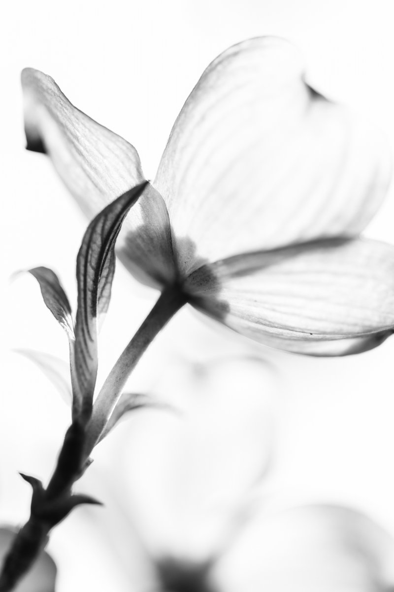 _28A0226-3-Edit.jpg
