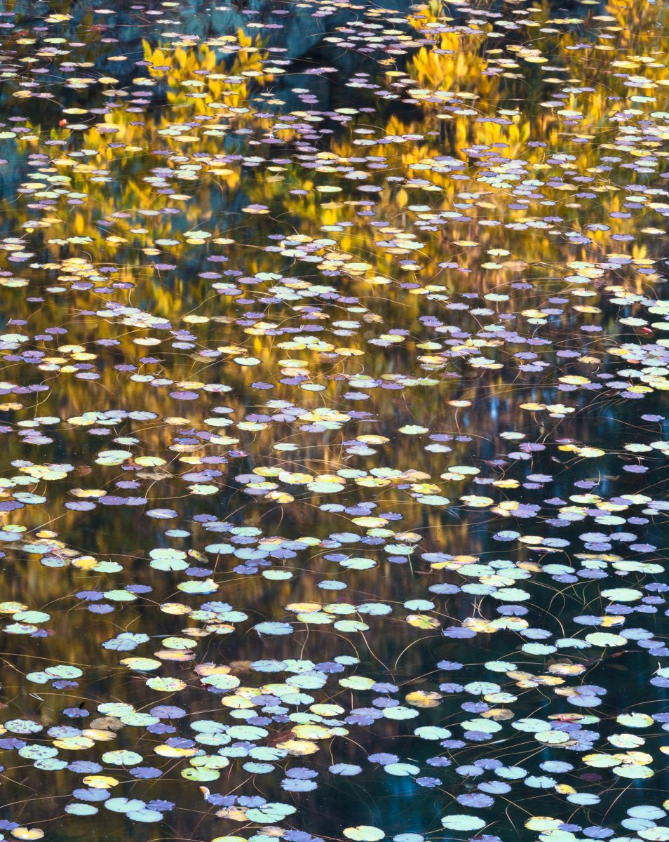 _28A0251-Edit.jpg
