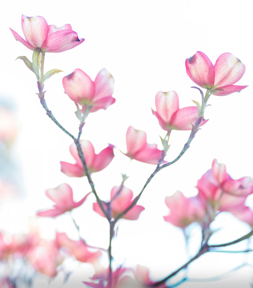 _28A0289-3-Edit-2.jpg