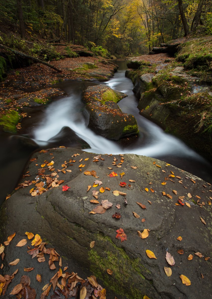 _28A0346-Edit-2.jpg