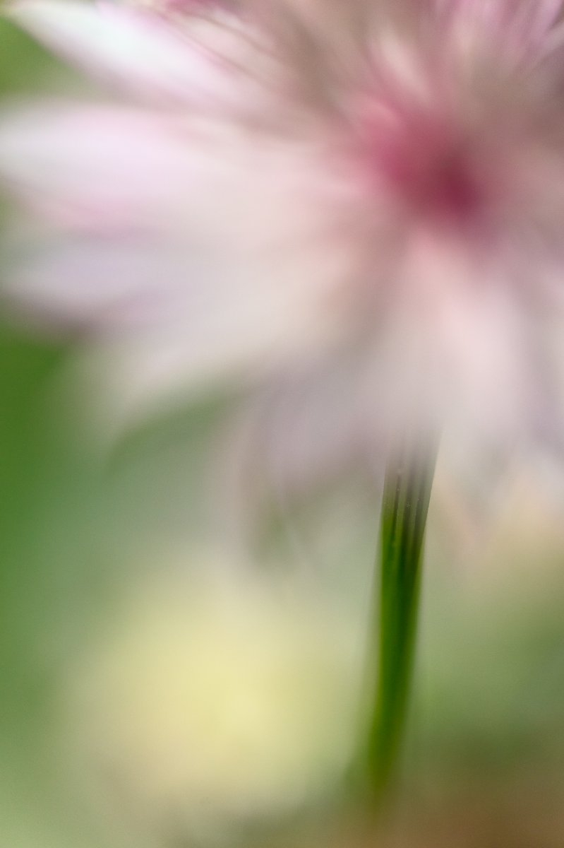 _28A0355-Edit.jpg
