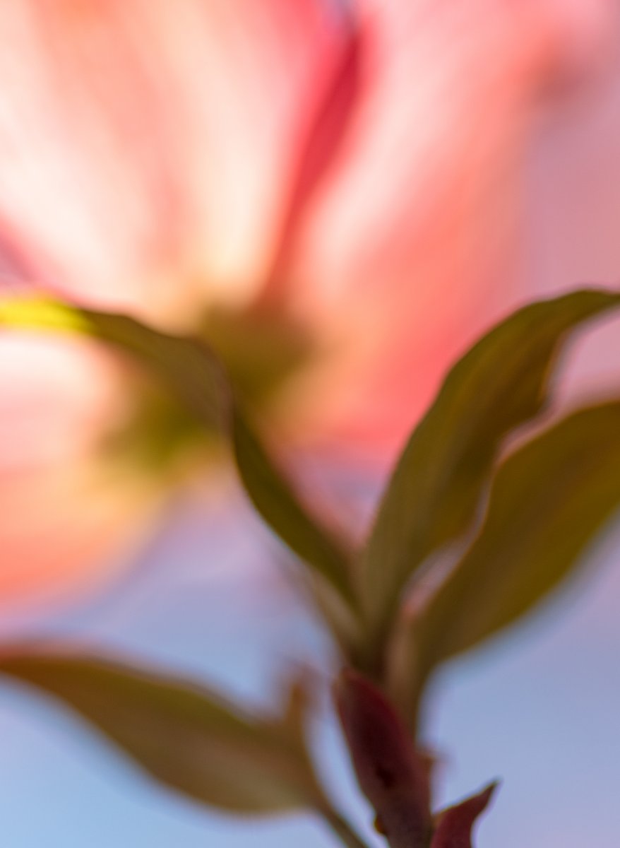 _28A0472-3-Edit.jpg