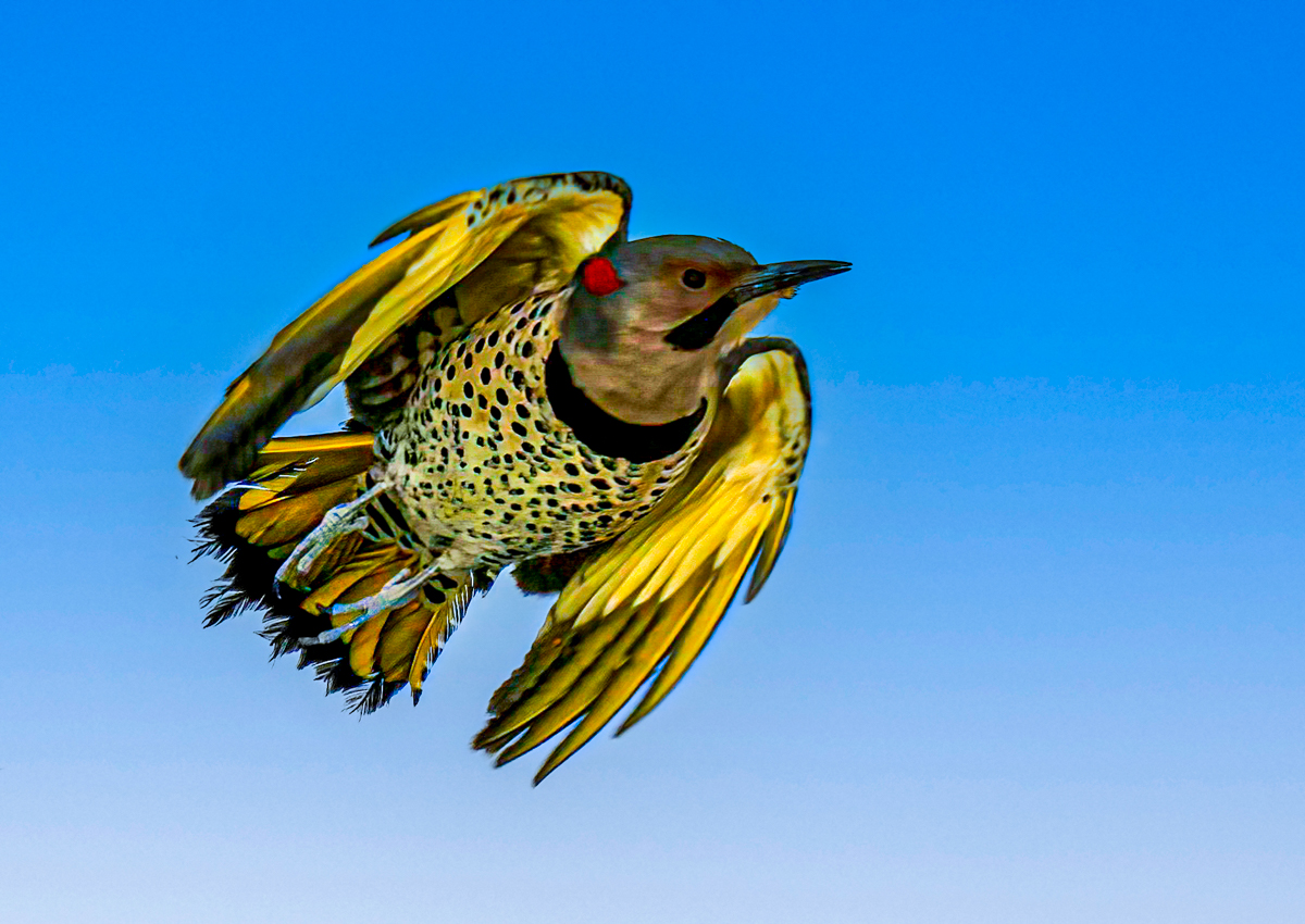 _3060202-Edit-Edit.jpg