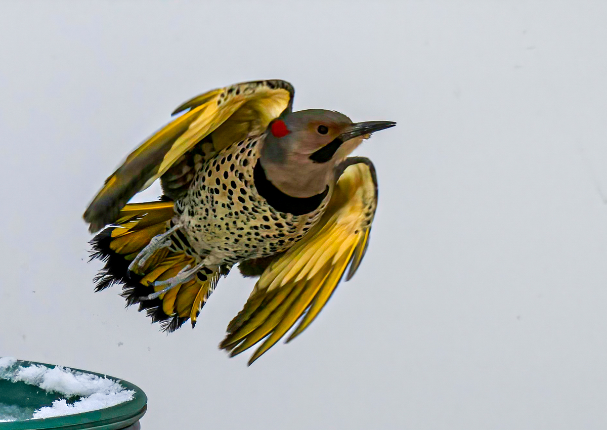 _3060202-Edit.jpg