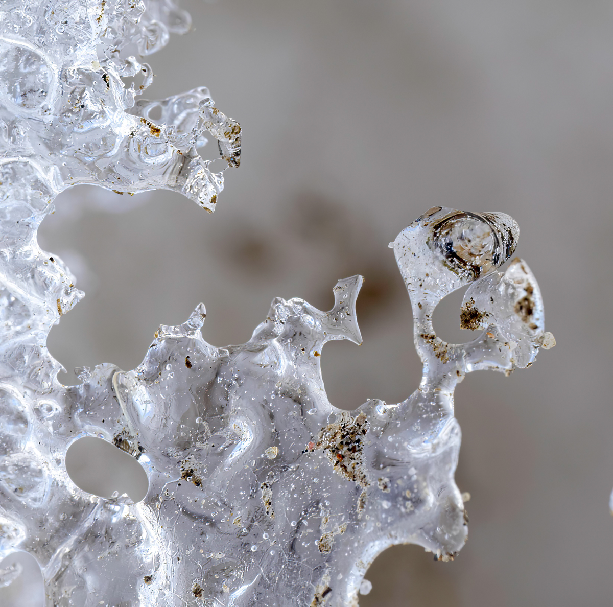 _3190006-Edit.jpg