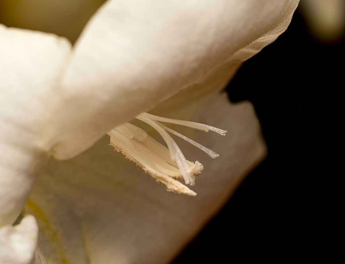 _3240061-Edit.jpg