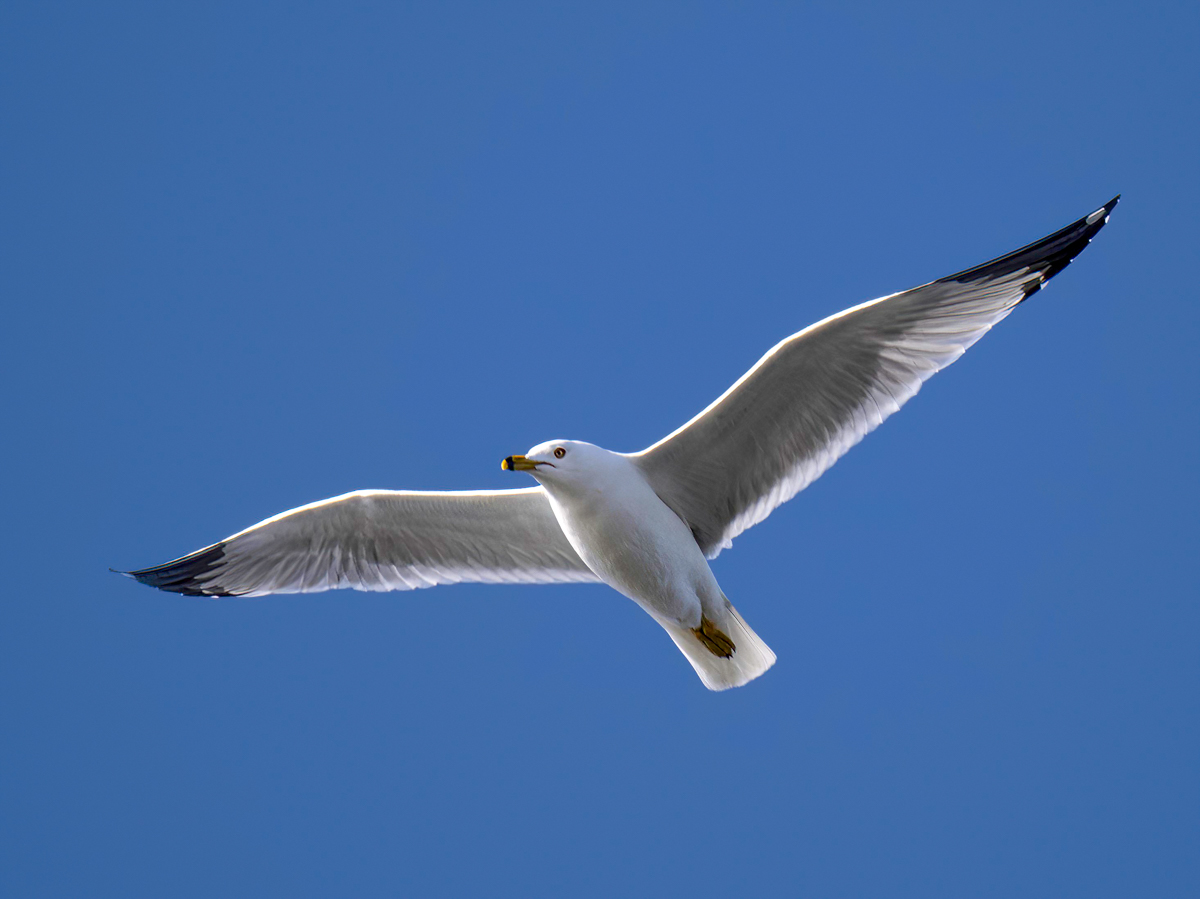 _4070011-Edit.jpg