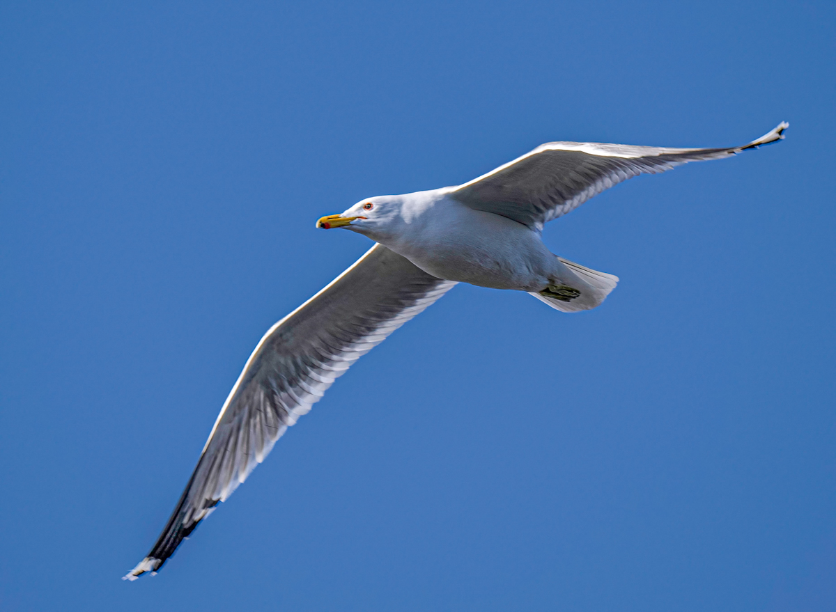 _4070077-Edit.jpg