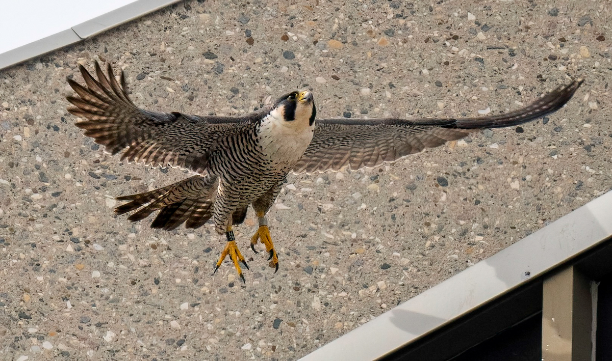 _4080173-Edit.jpg