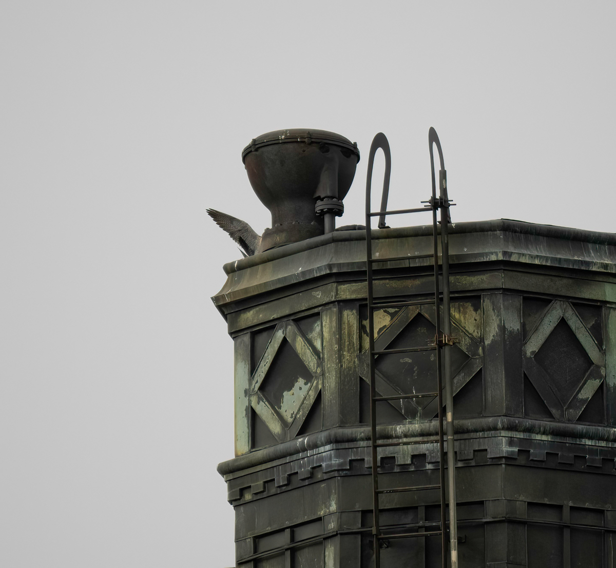 _4140133-Edit.jpg