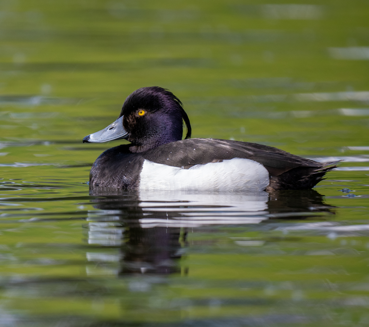 _5110526-Edit.jpg