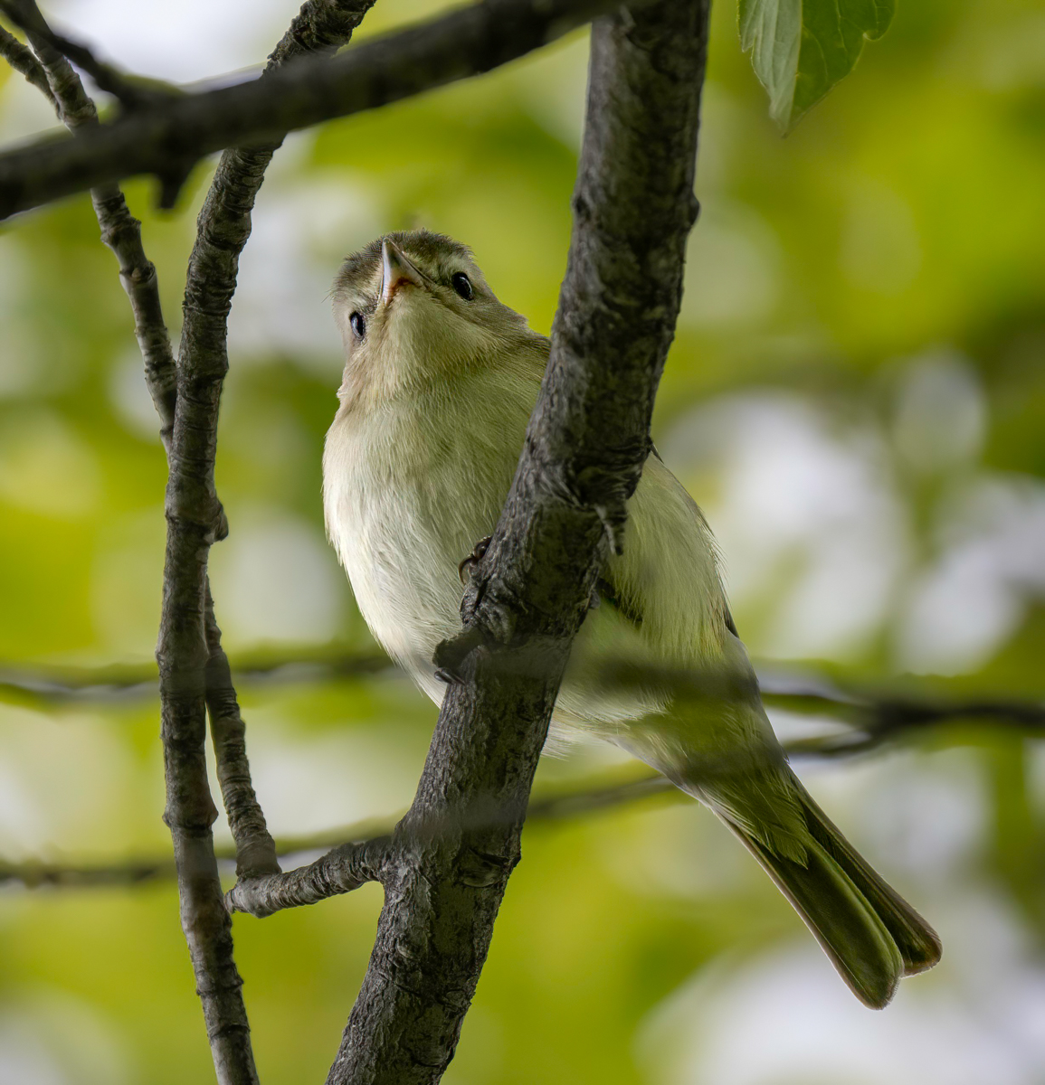_6090640-Edit.jpg