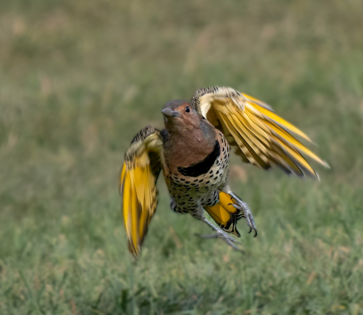 _9170304-Edit.jpg