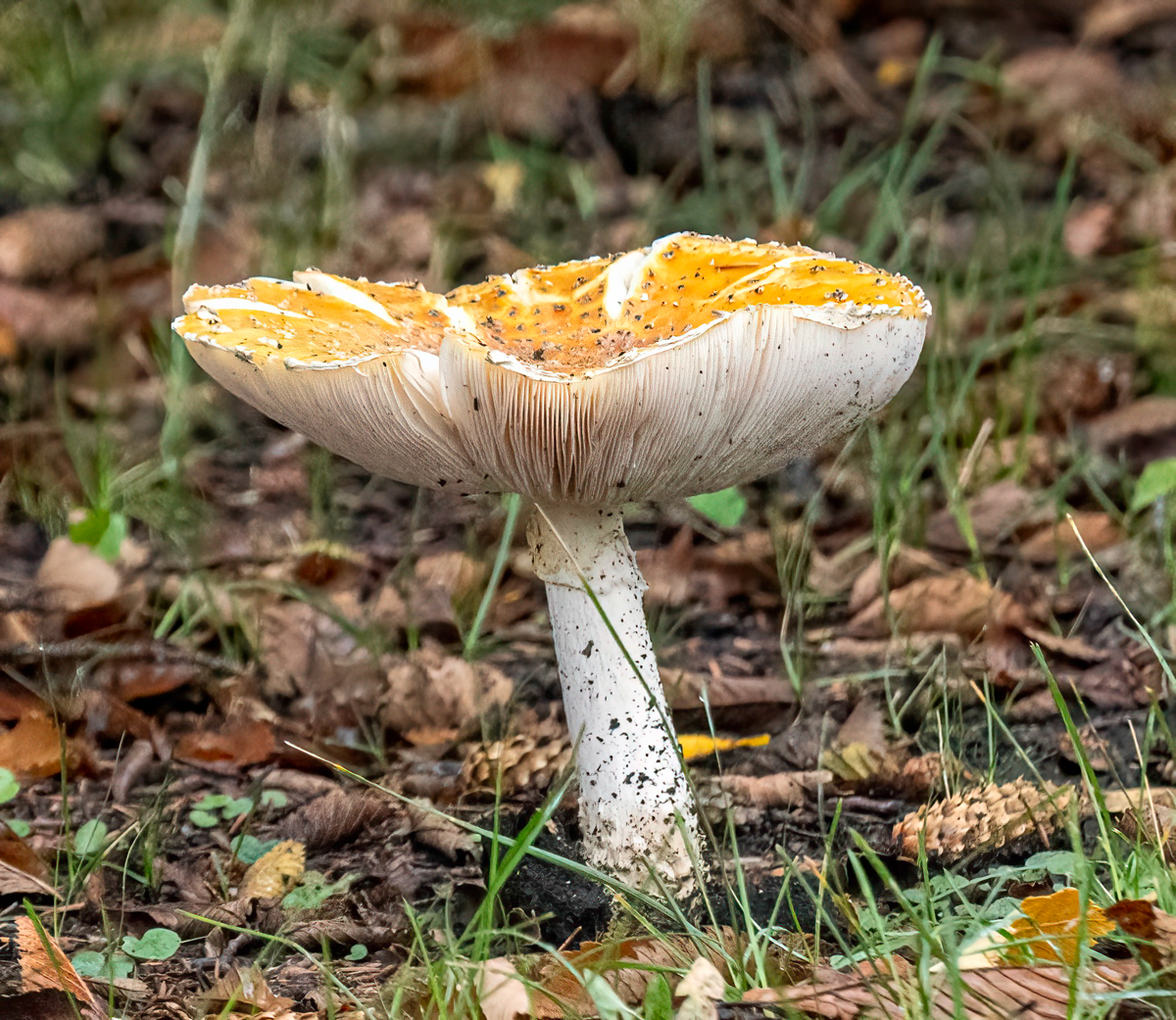 _9191318-Edit-2.jpg