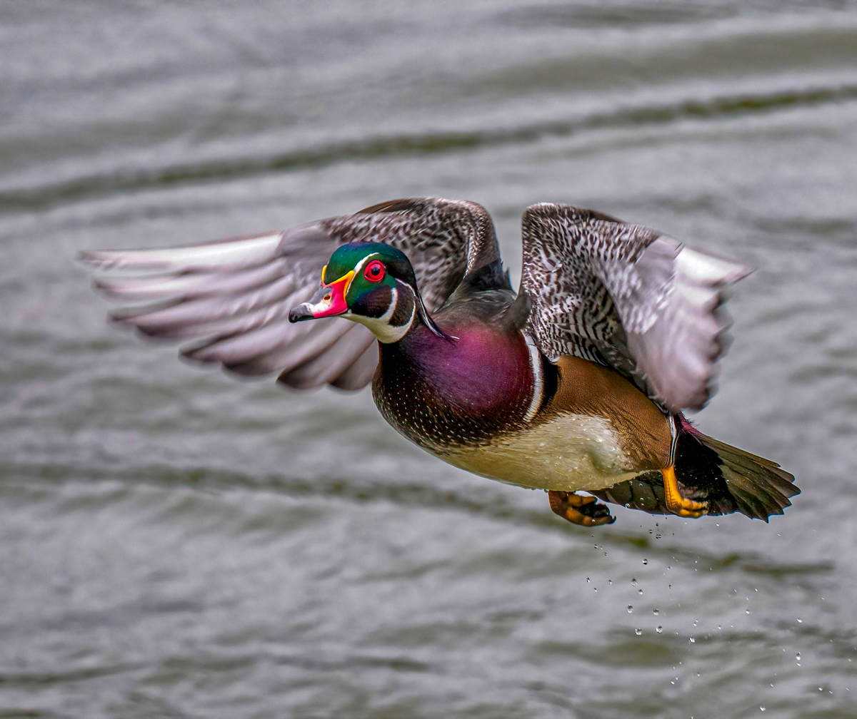 _9231831-Edit.jpg