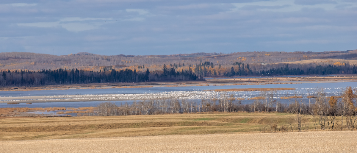 _A131067-Edit.jpg