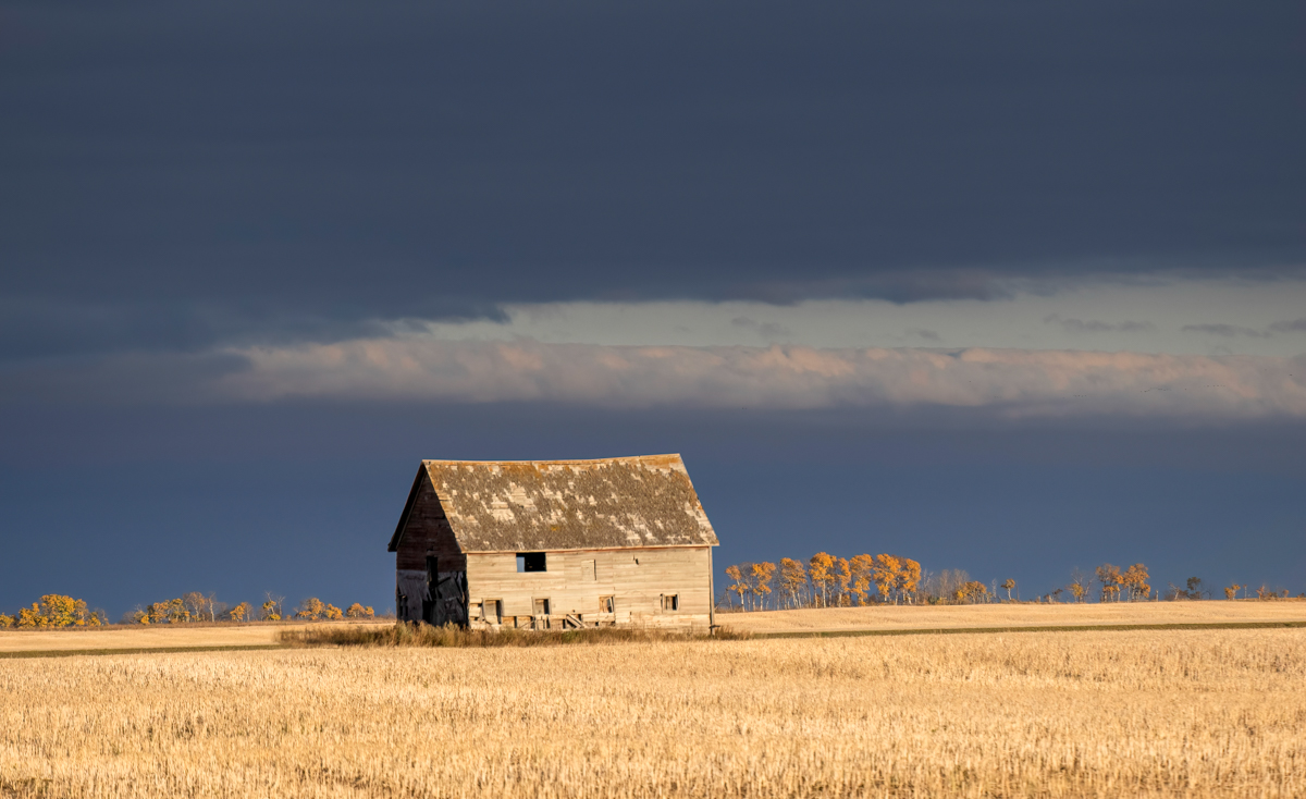 _A131510-Edit-Edit.jpg