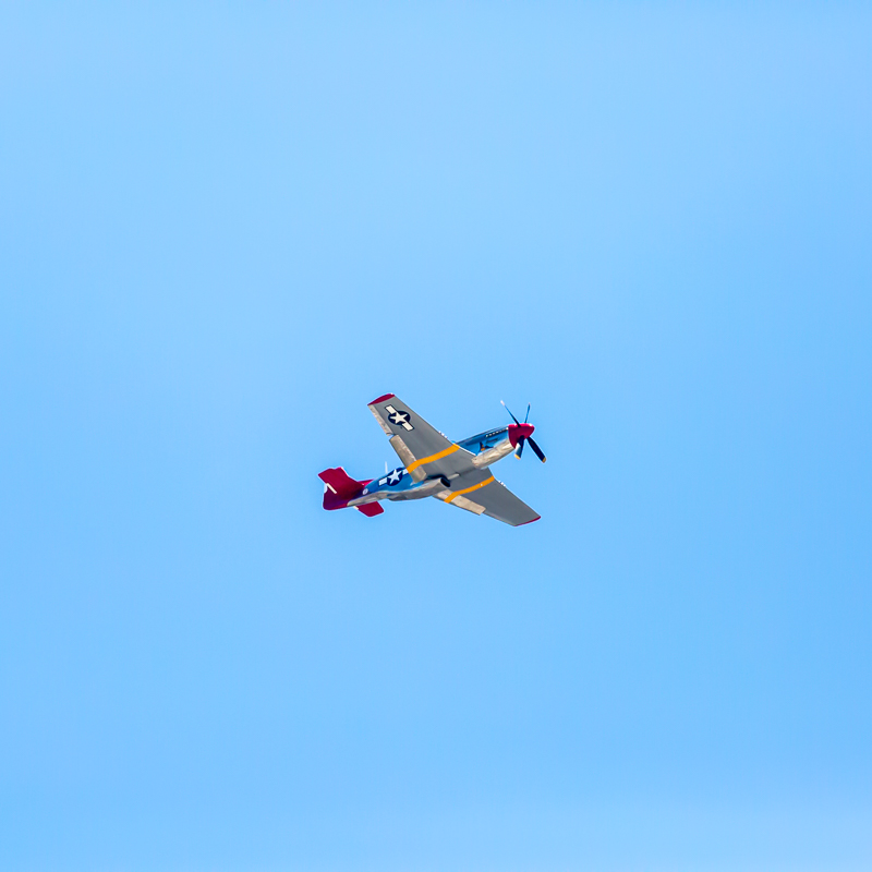 _A3A6505.jpg