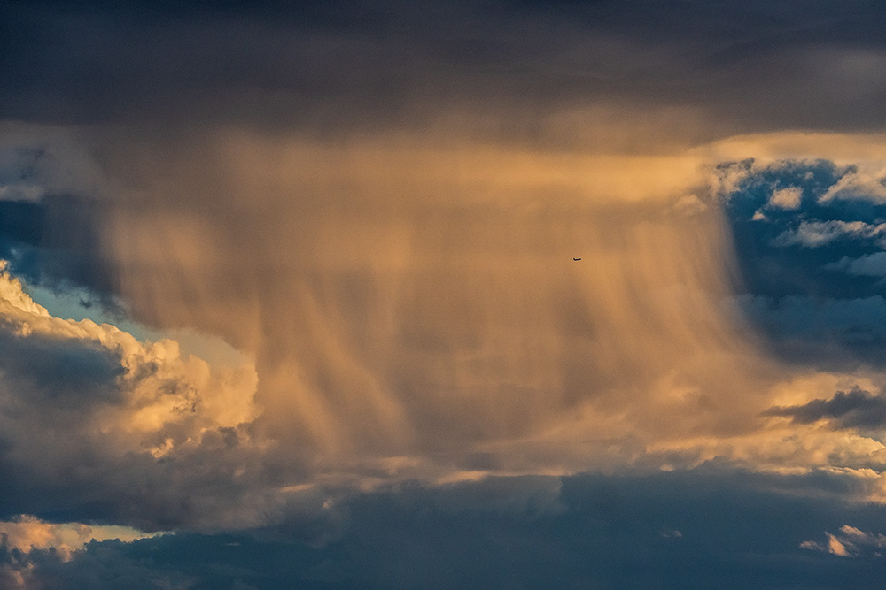 _A641853_dw.jpg