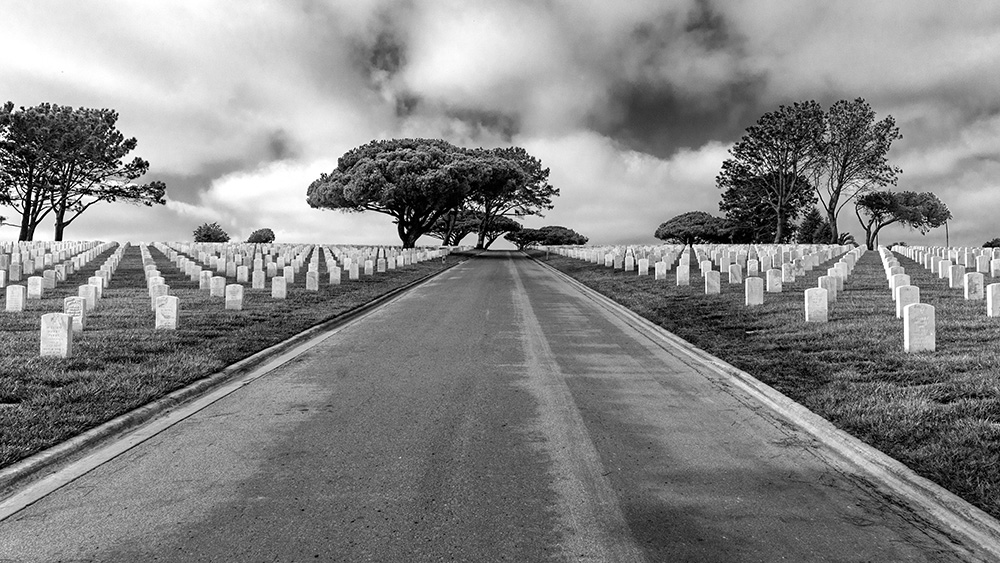 _A646265_pano_dw.jpg