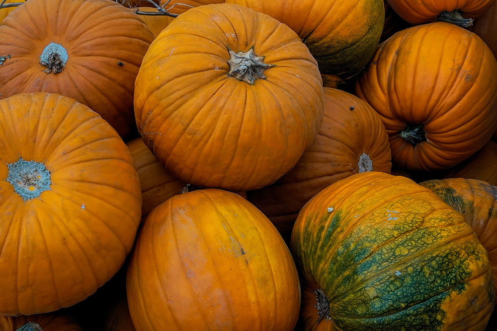 _A646534_dw.jpg