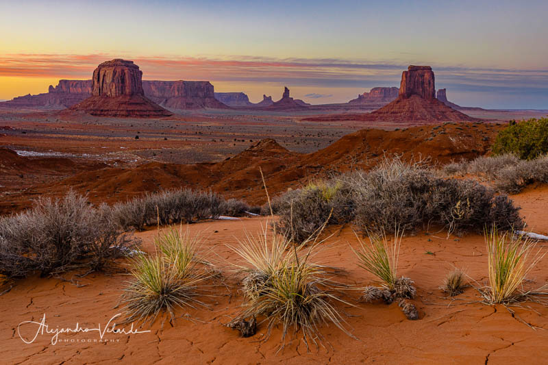 _AV_9795-Edit-Edit-Edit-Edit.jpg