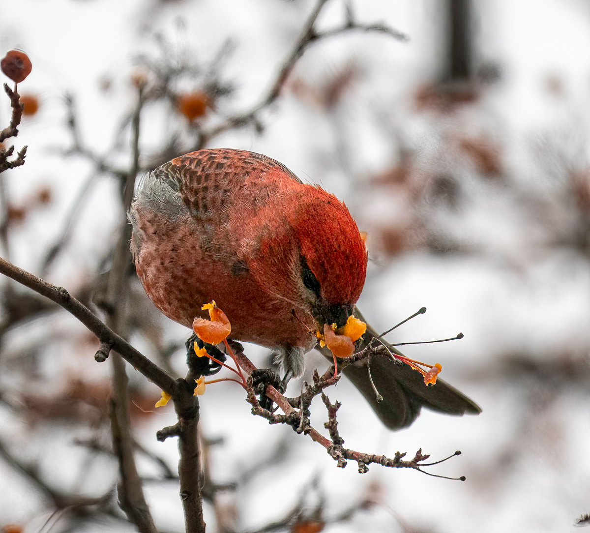 _B031706-Edit.jpg