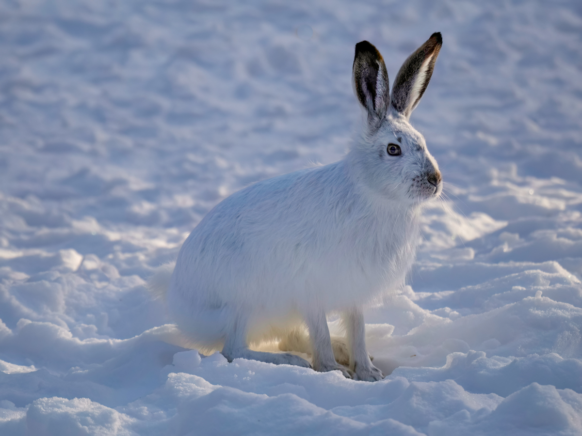 _C110155-Edit.jpg