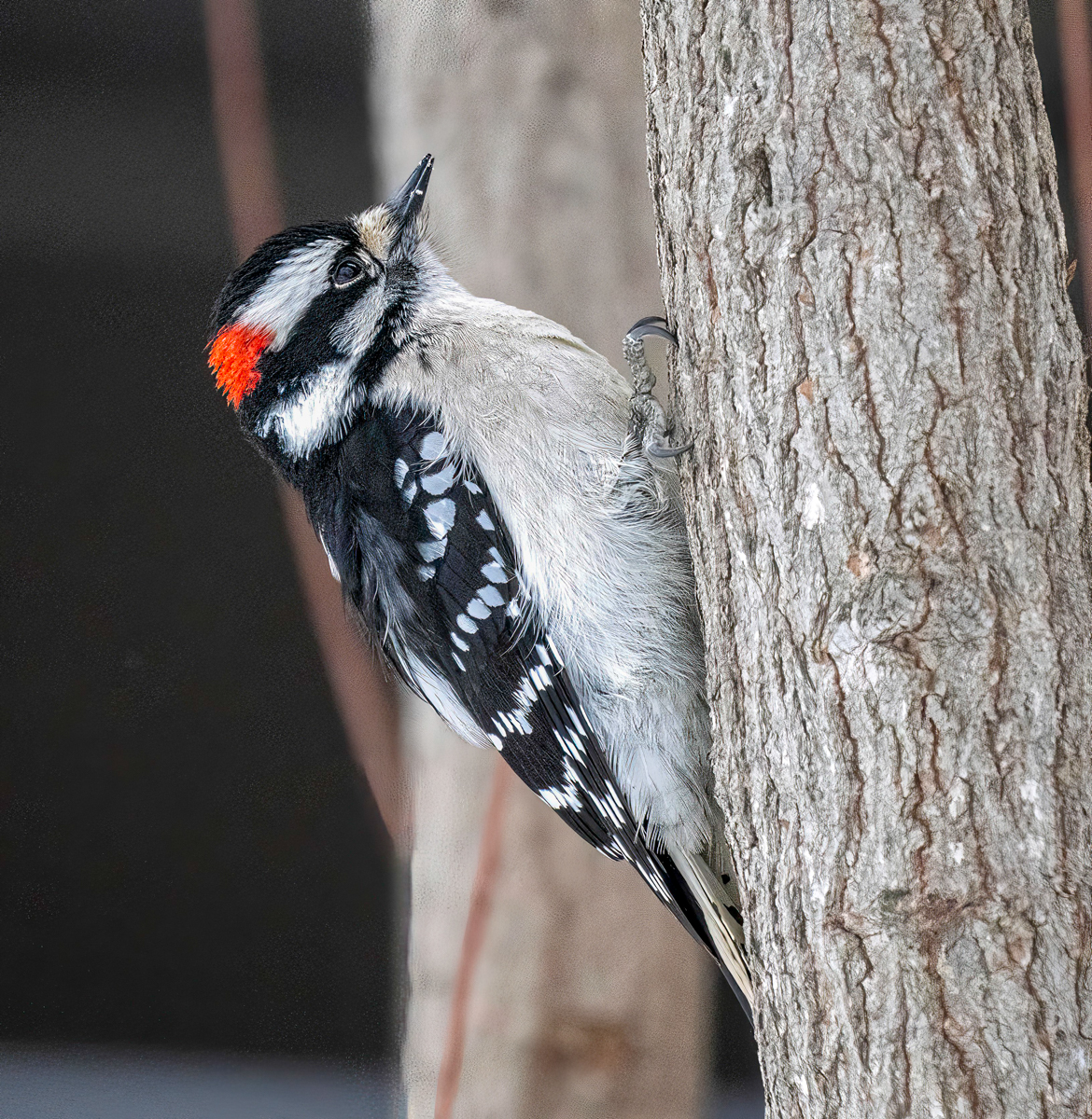 _C162204-Edit.jpg