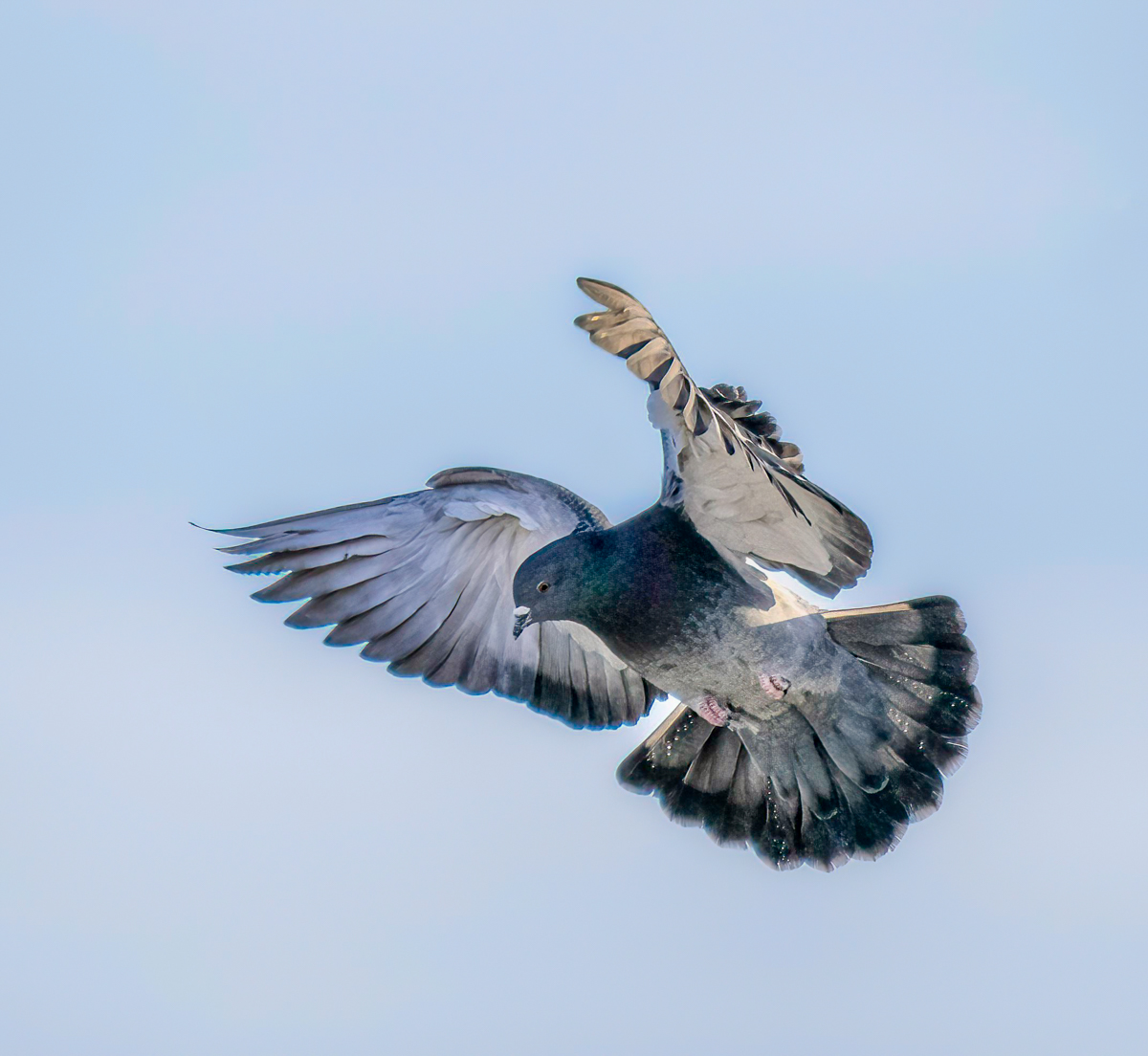 _C182251-Edit.jpg