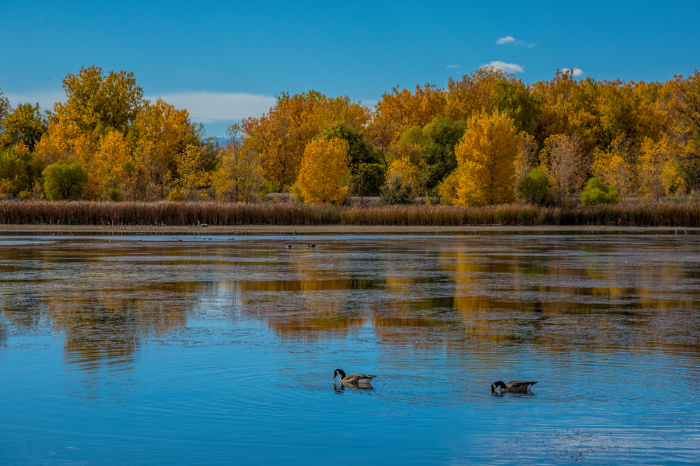 _D810106_dw.jpg