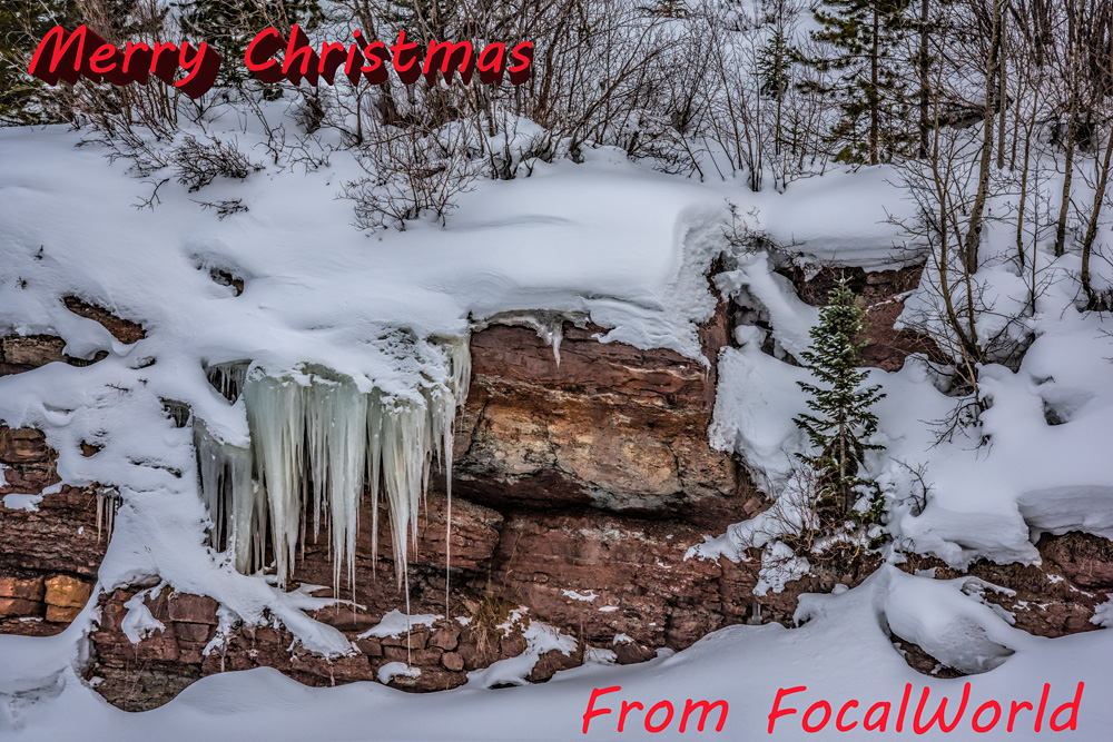 _D810446_MerryChristmas_dw.jpg