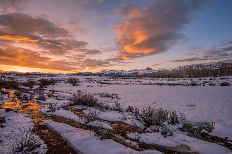 _D810733_dw.jpg