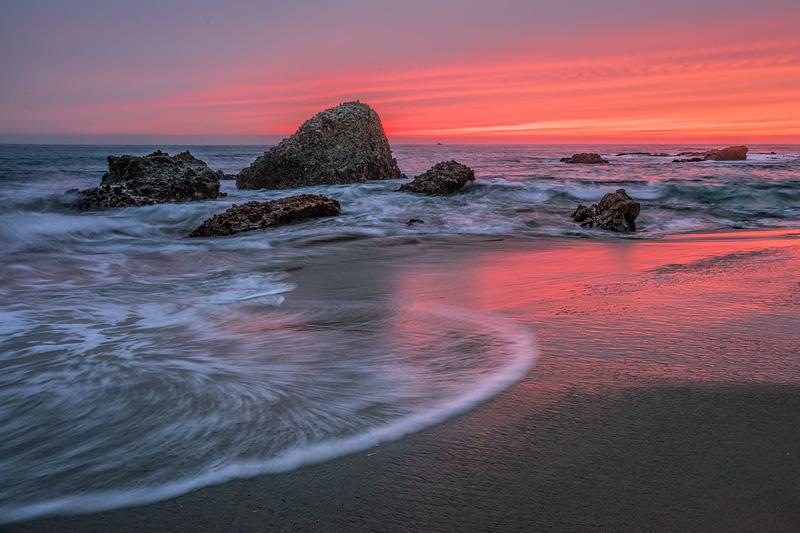 _D810955_dw.jpg