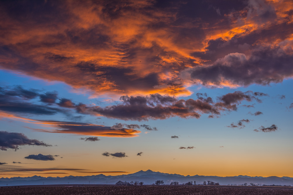 _D811771_dw.jpg