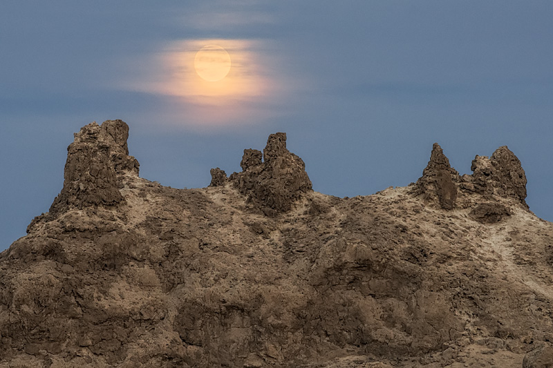 _D812055_dw.jpg