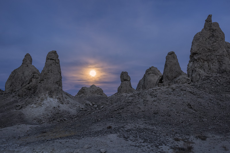 _D812092_dw.jpg