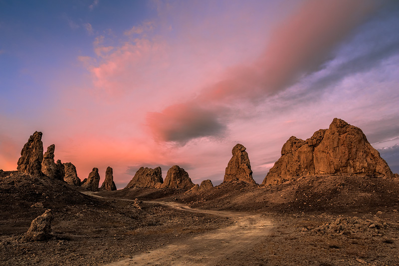_D812183_dw.jpg