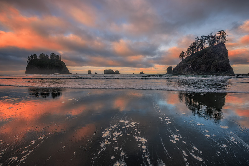 _D812373_dw.jpg