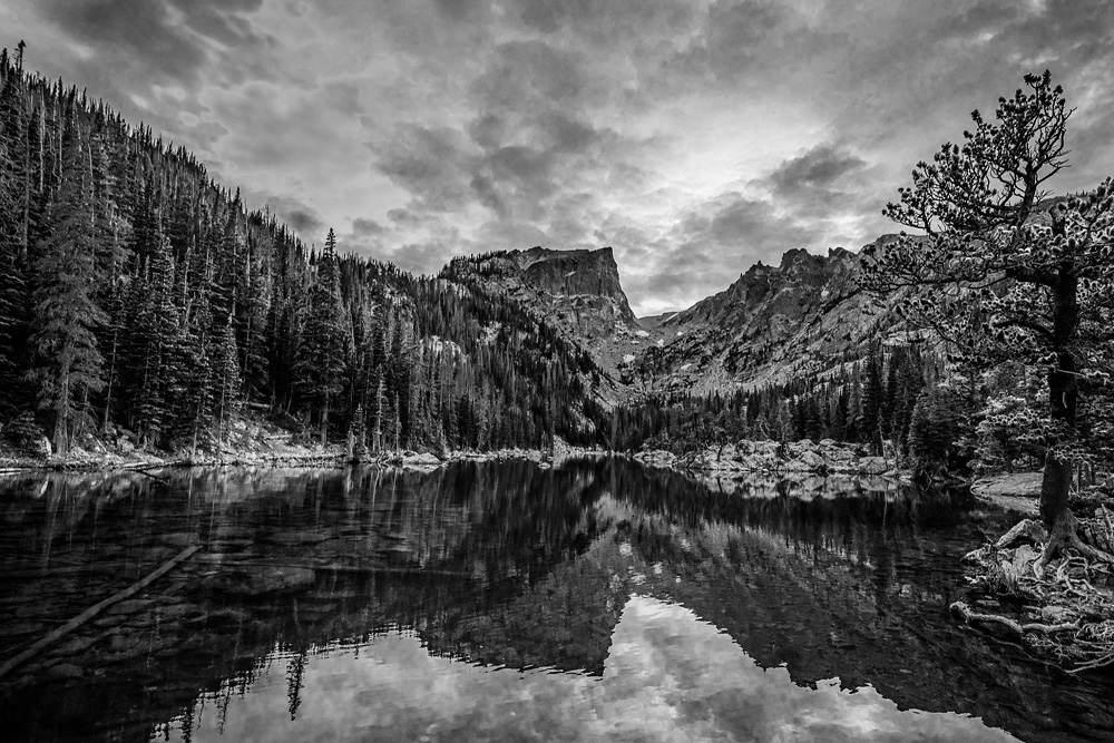 _D813103_BW_dw.jpg
