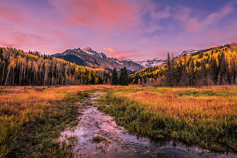 _D813172_dw.jpg