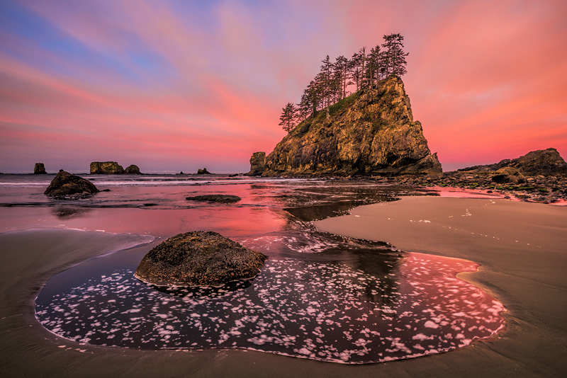 _D813509_dw.jpg