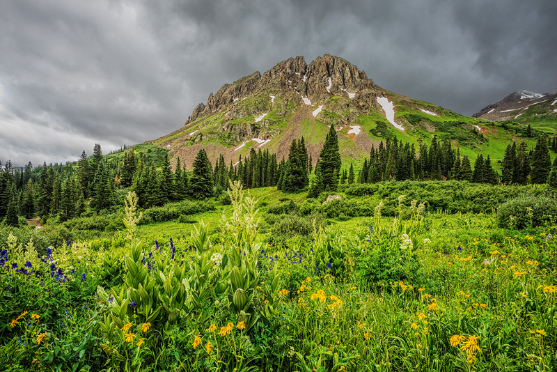 _D814854_dw.jpg