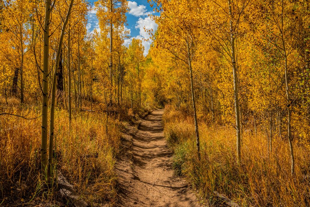 _D815102_dw.jpg