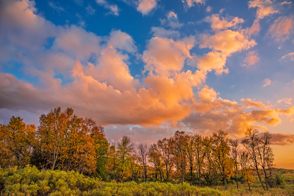 _D815765_dw.jpg